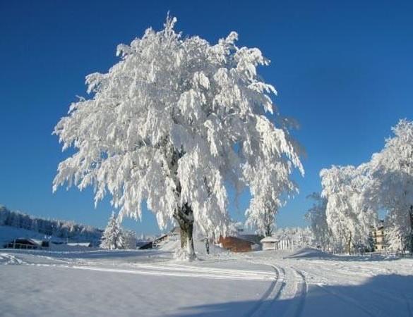Appartamenti Dolomiti Moena Εξωτερικό φωτογραφία