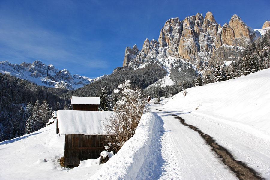 Appartamenti Dolomiti Moena Εξωτερικό φωτογραφία